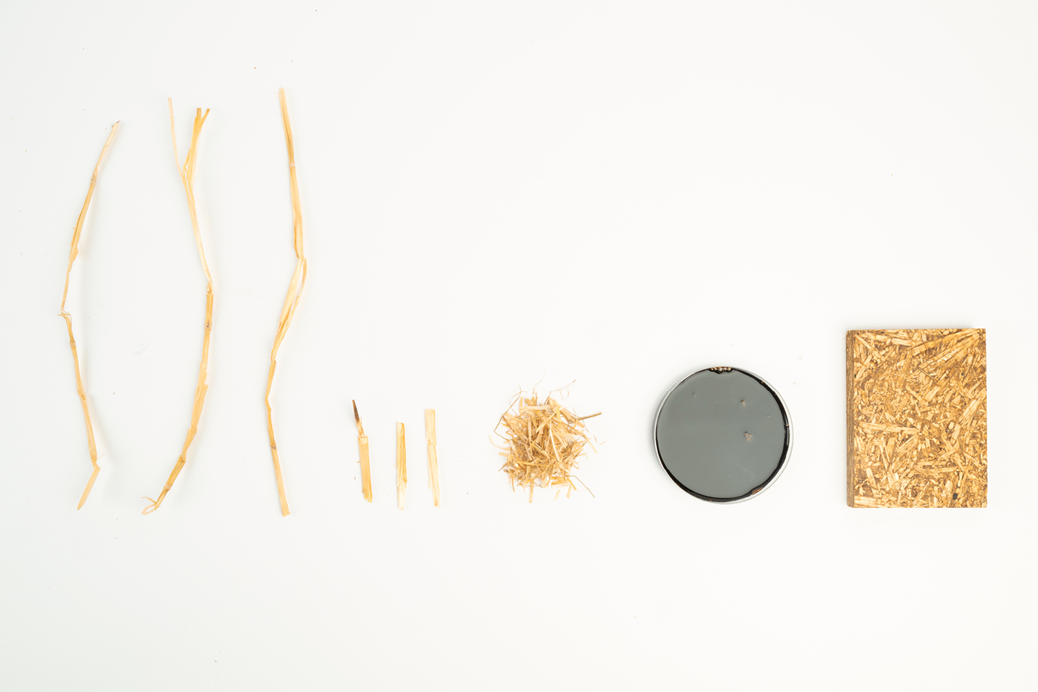 Cultivated Objects., portfolio item 6