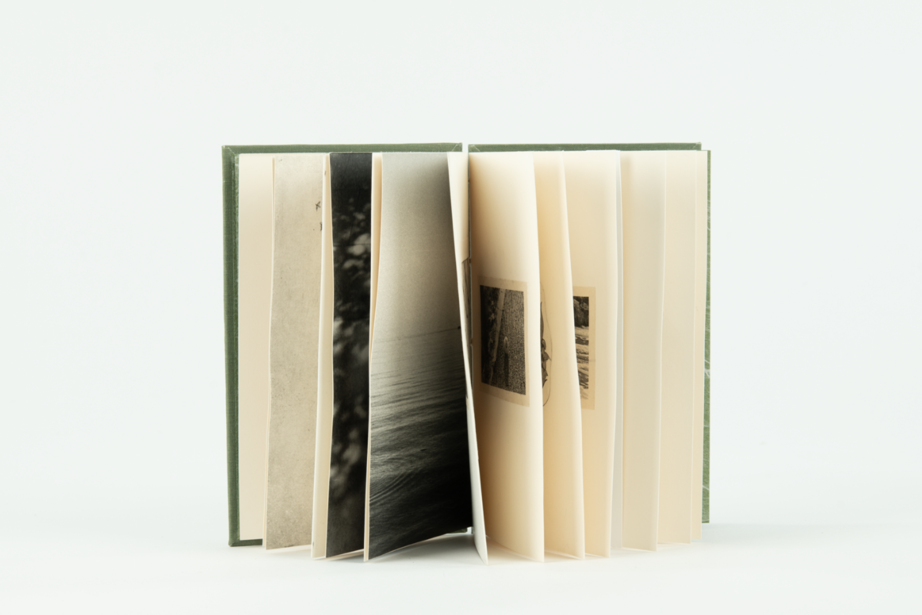 Migration, portfolio item 6