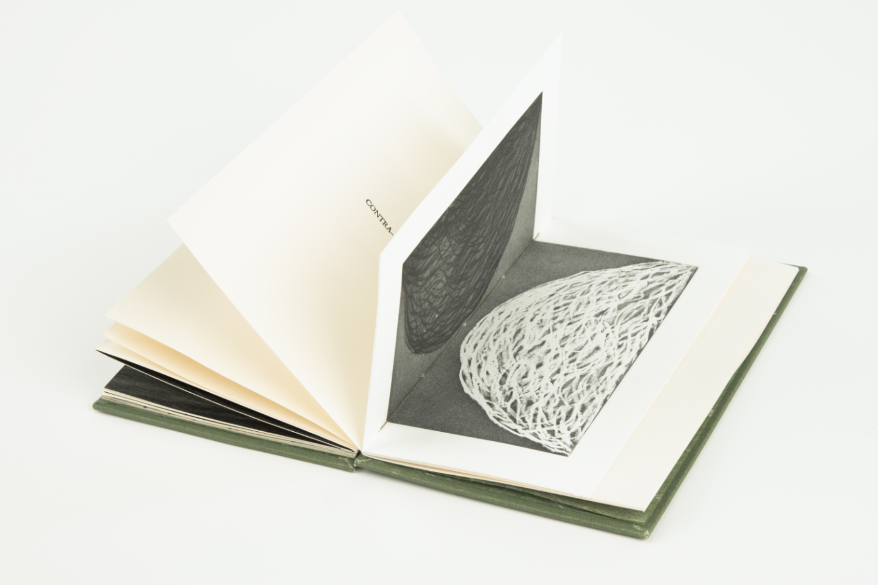 Migration, portfolio item 9
