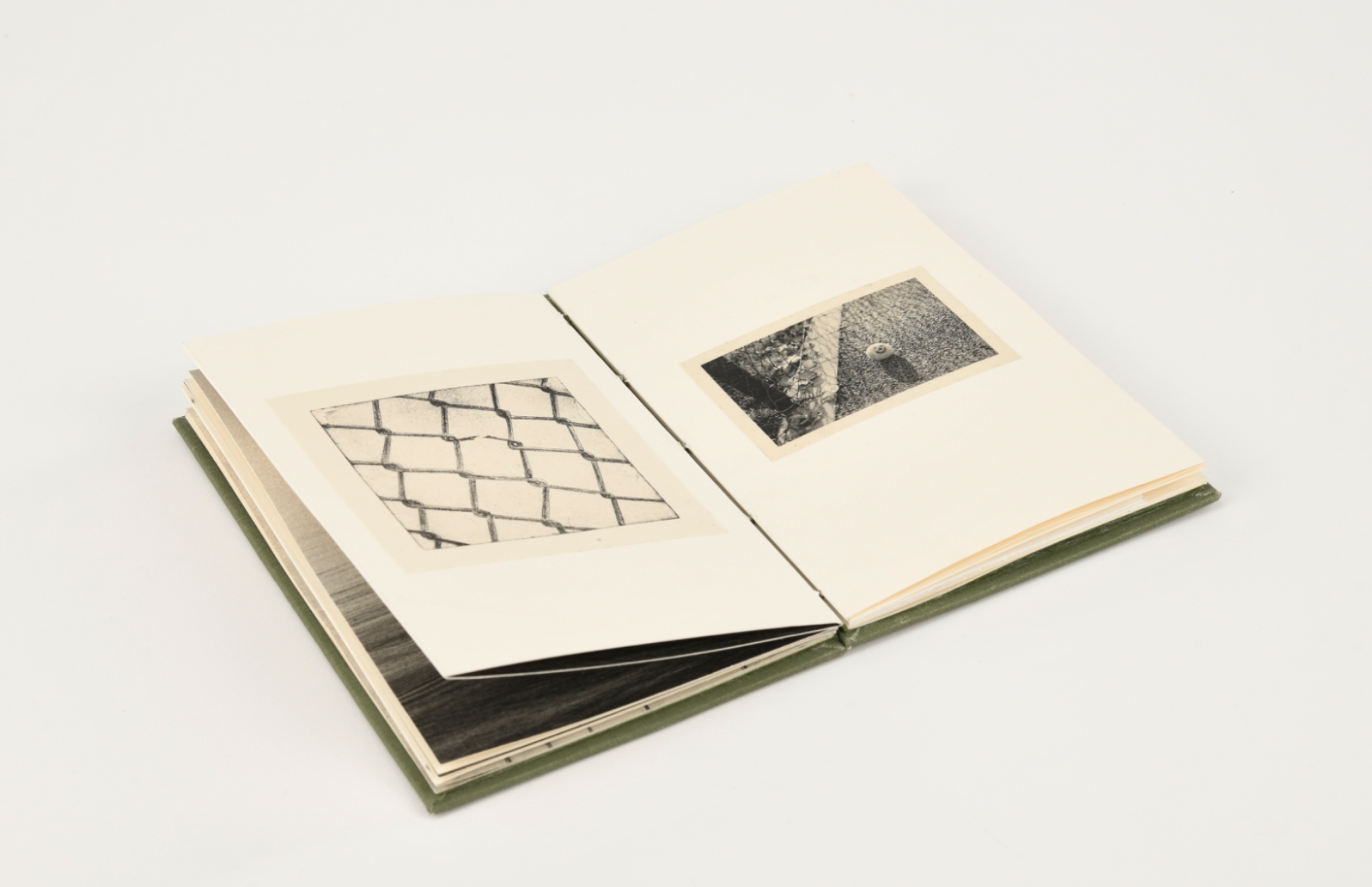 Migration, portfolio item 7