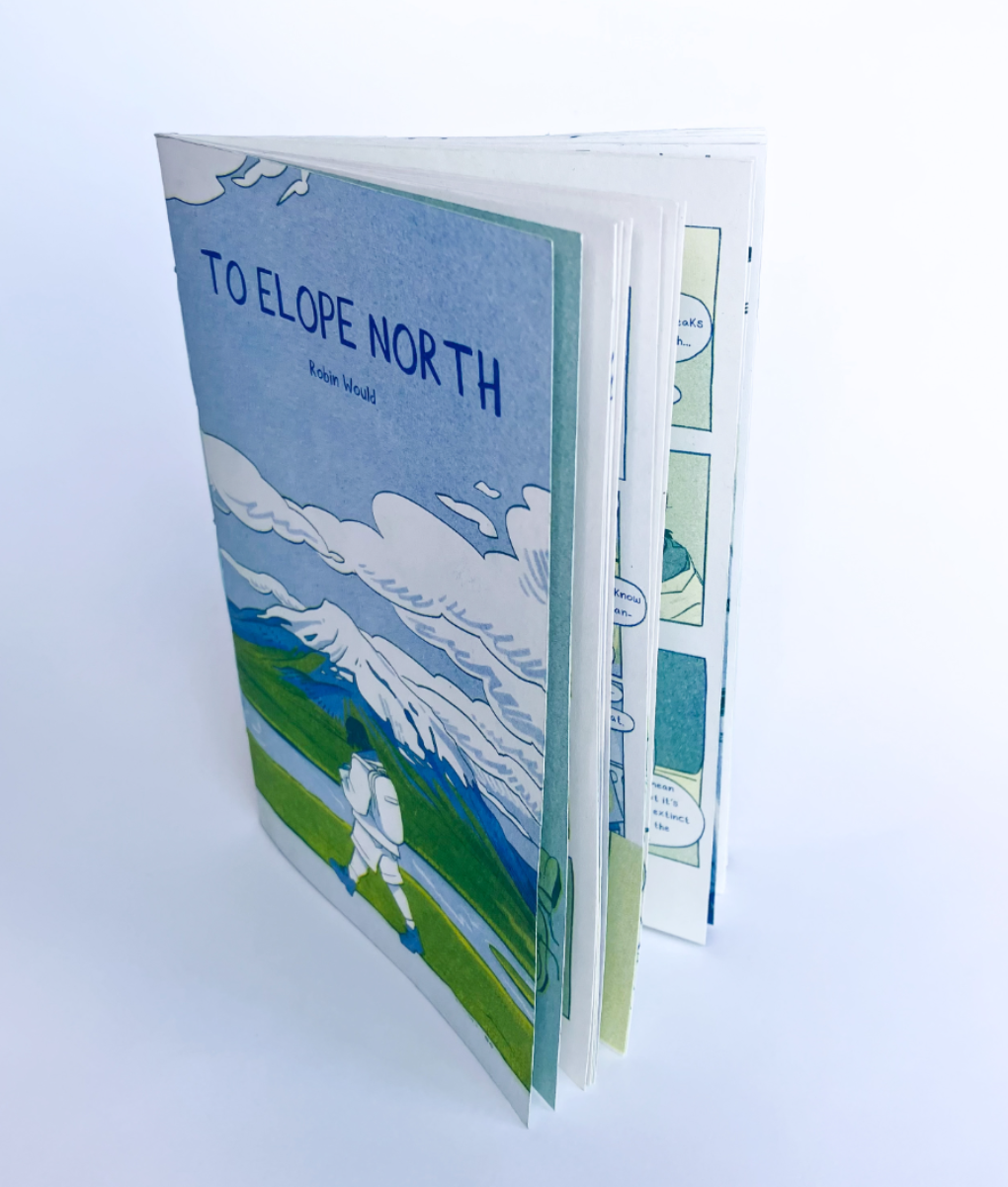To Elope north, portfolio item 7