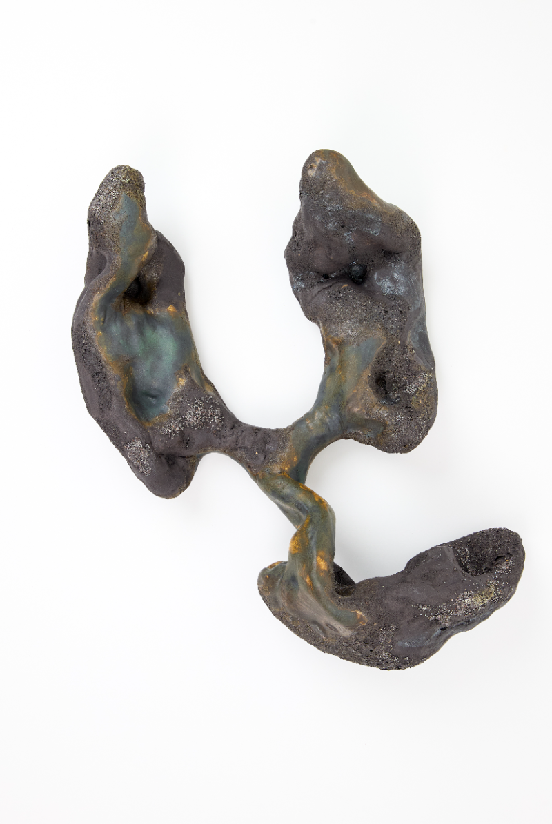 Breathing in soil: A transmutation, portfolio item 8