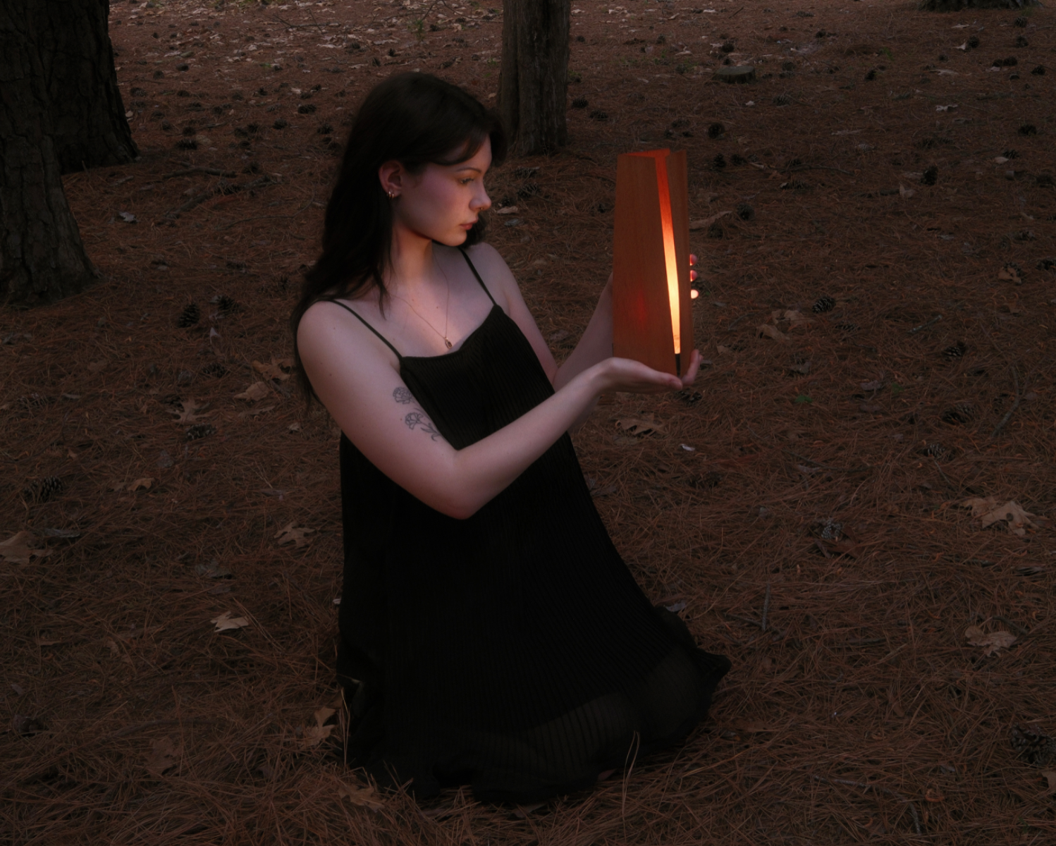 Wooden lung, portfolio item 5