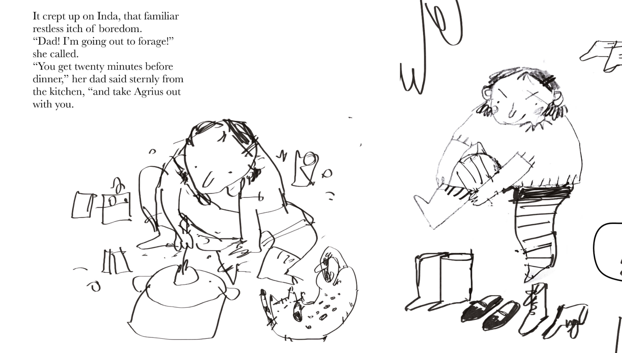 Inda and agrius, portfolio item 8