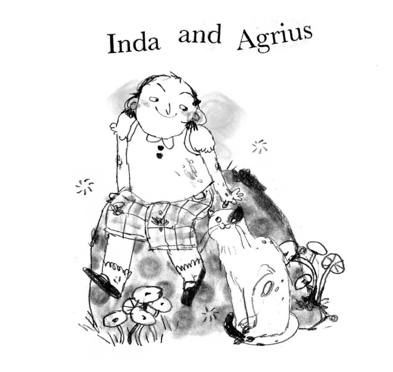 Inda and agrius, portfolio item 6