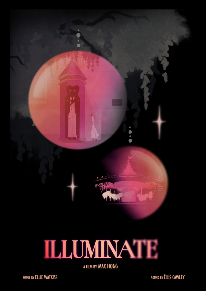 Illuminate, portfolio item 2