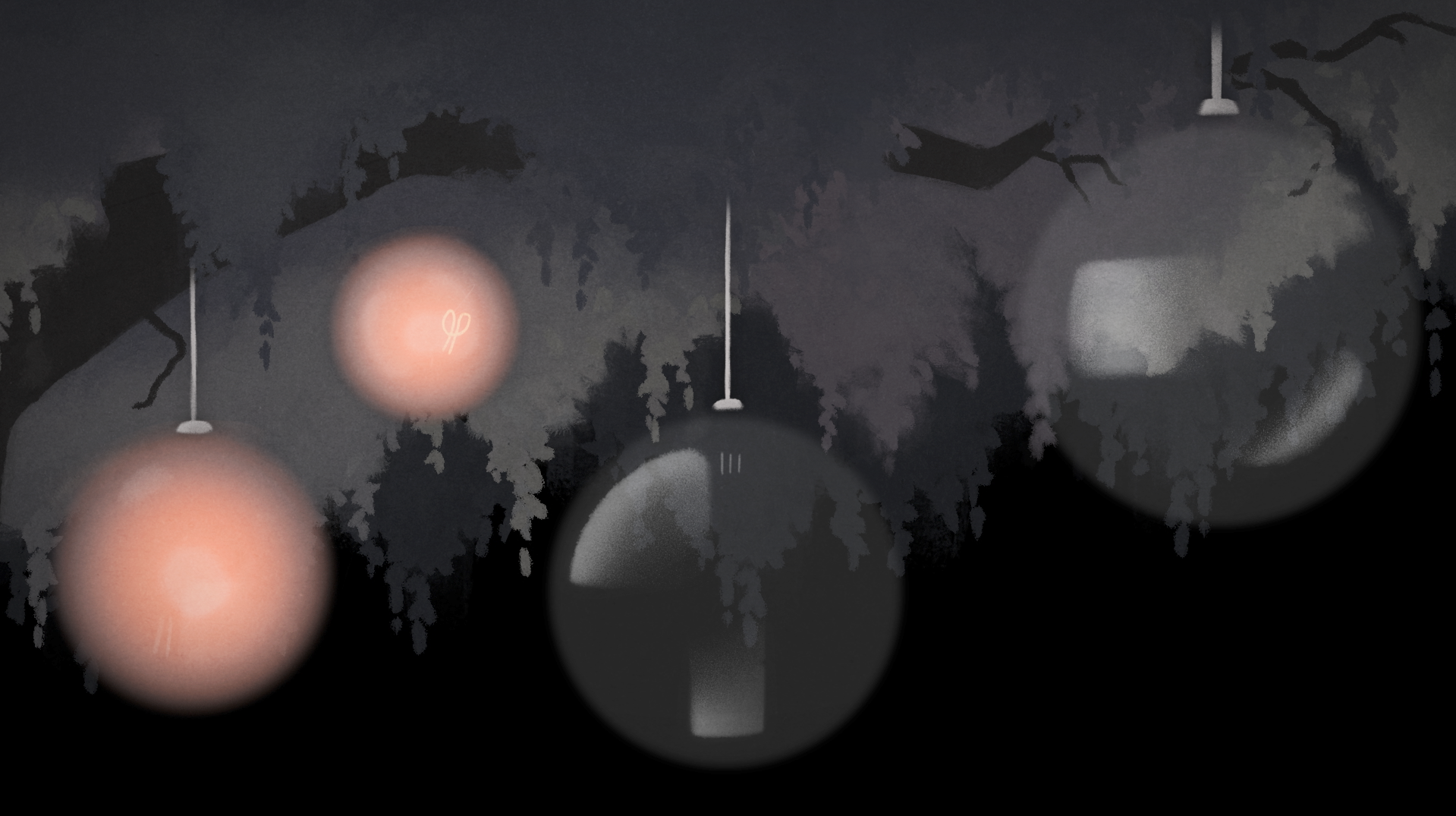 Illuminate, portfolio item 5