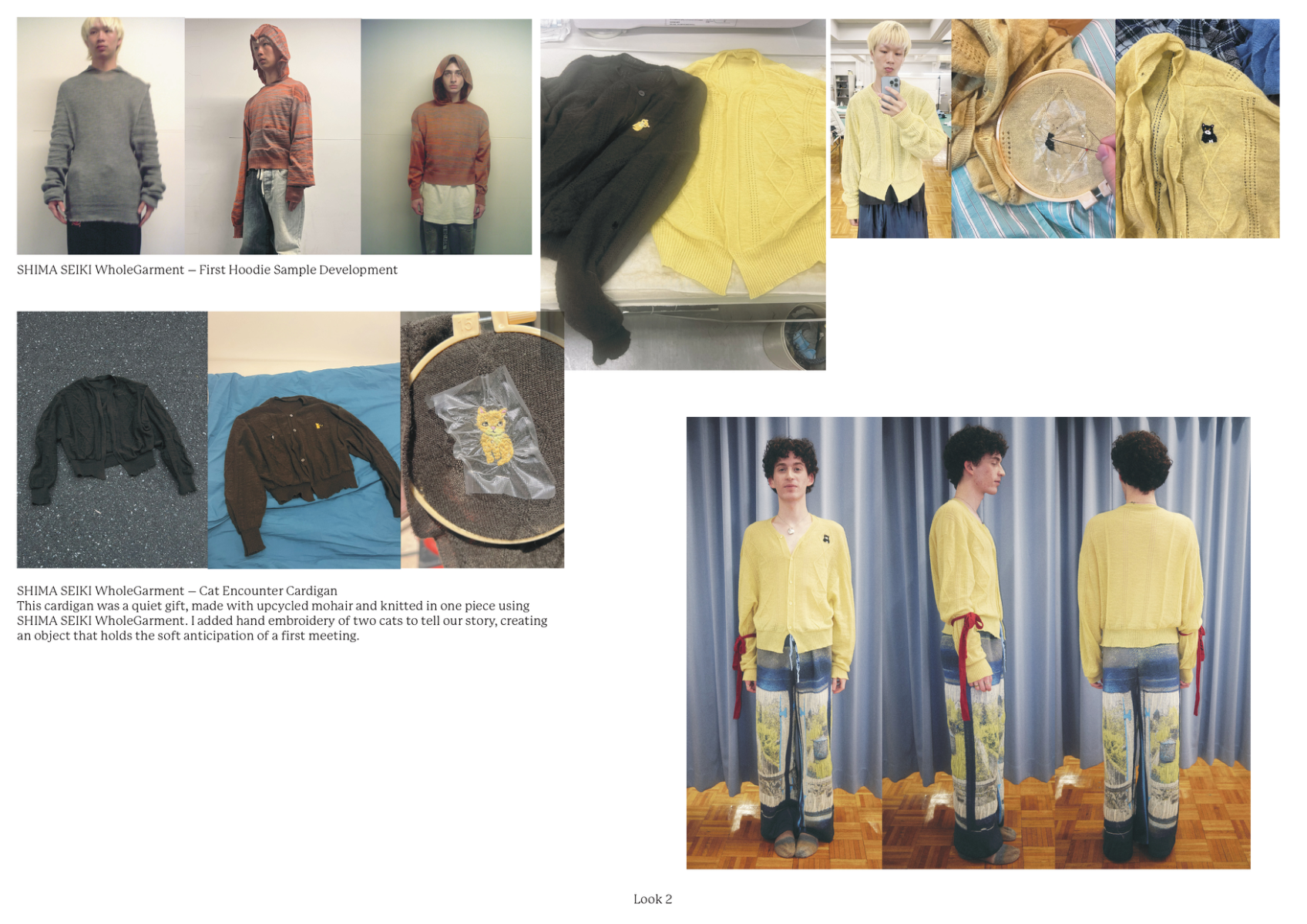 Fino alla nona vita, portfolio item 10