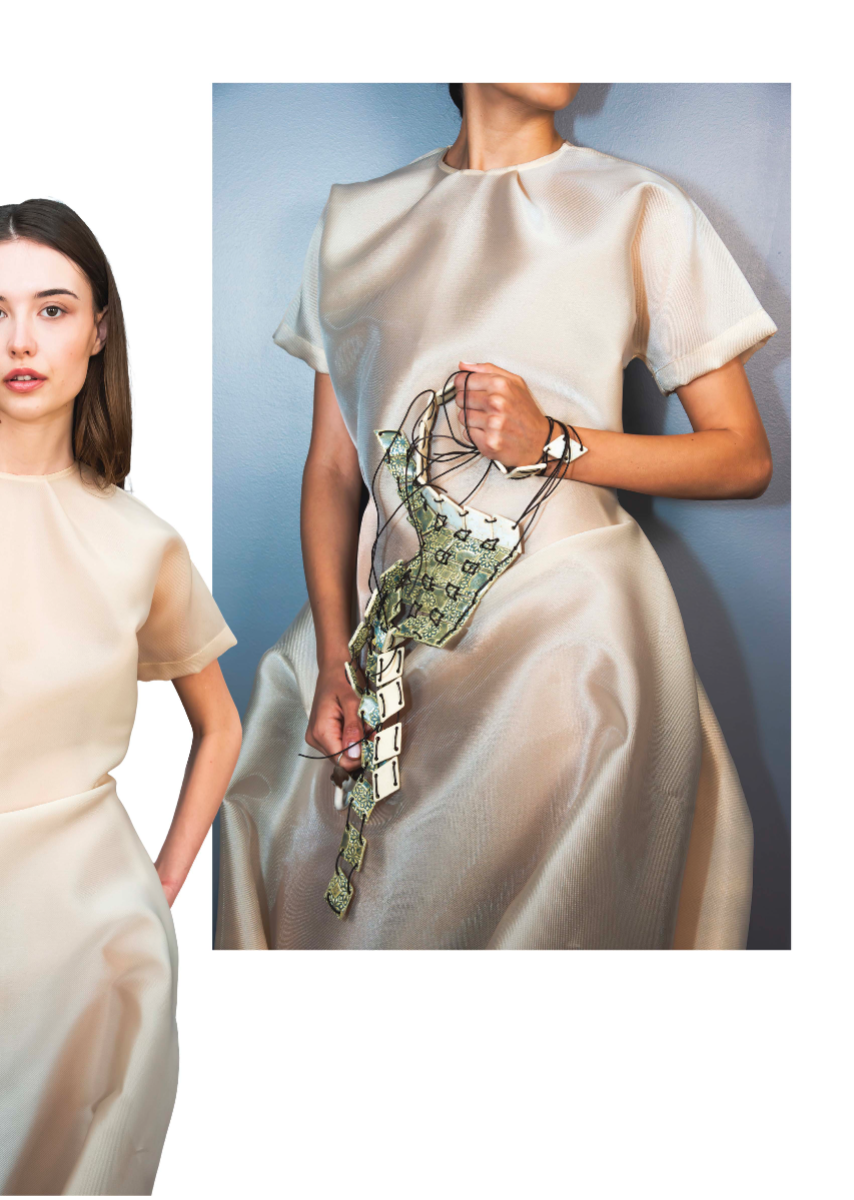 CORNARO, portfolio item 11