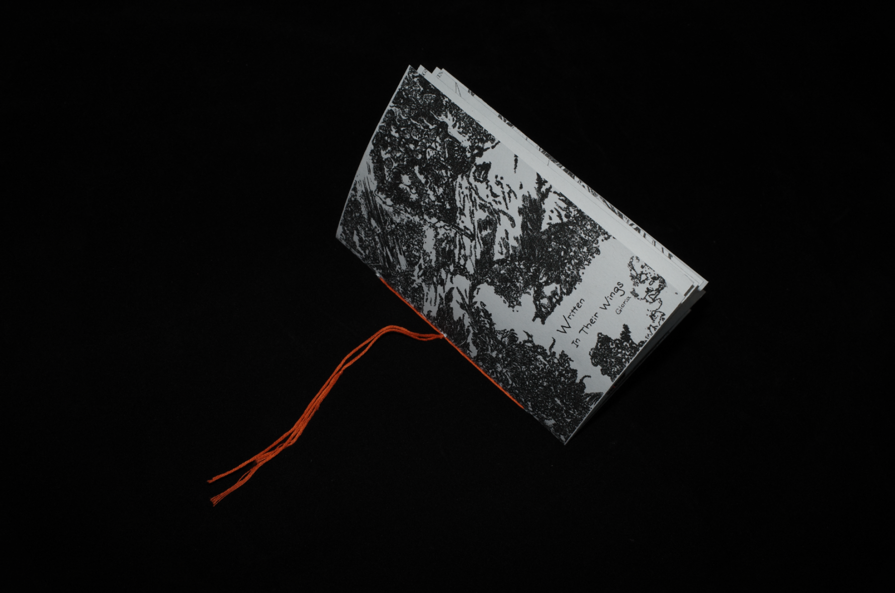 Written in their Wings, portfolio item 2