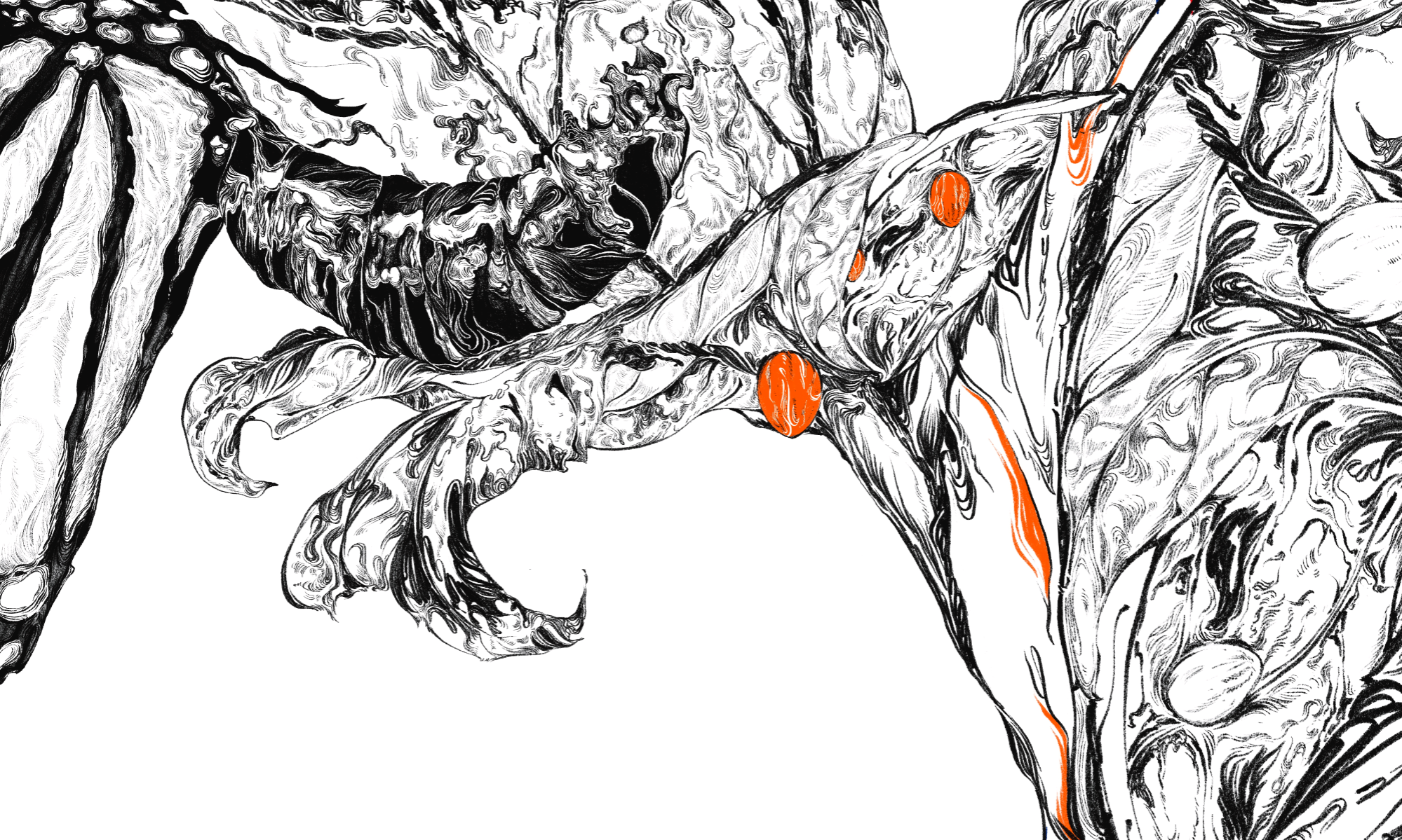 Written in their Wings, portfolio item 4