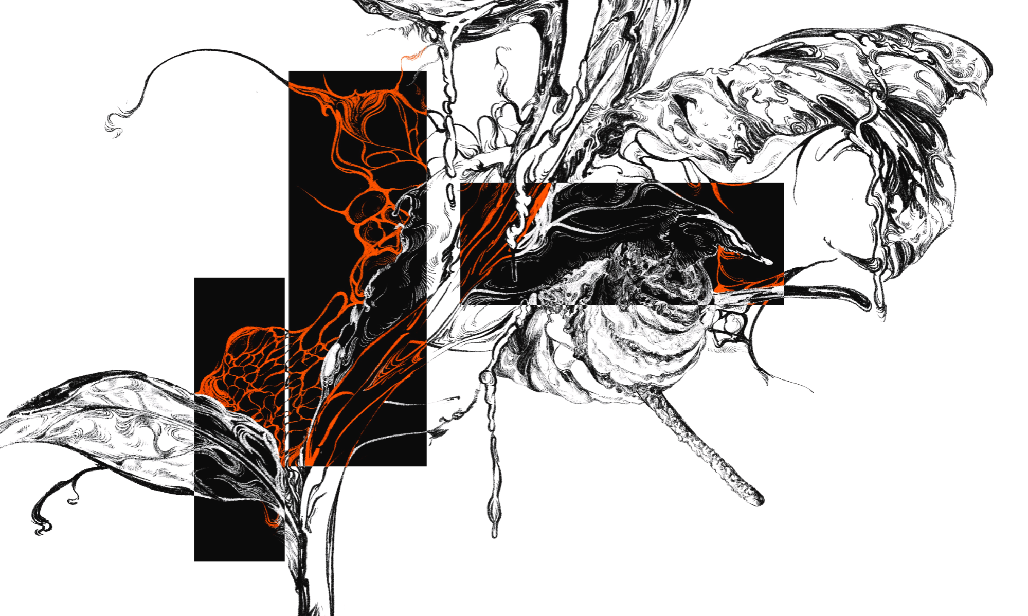 Written in their Wings, portfolio item 5