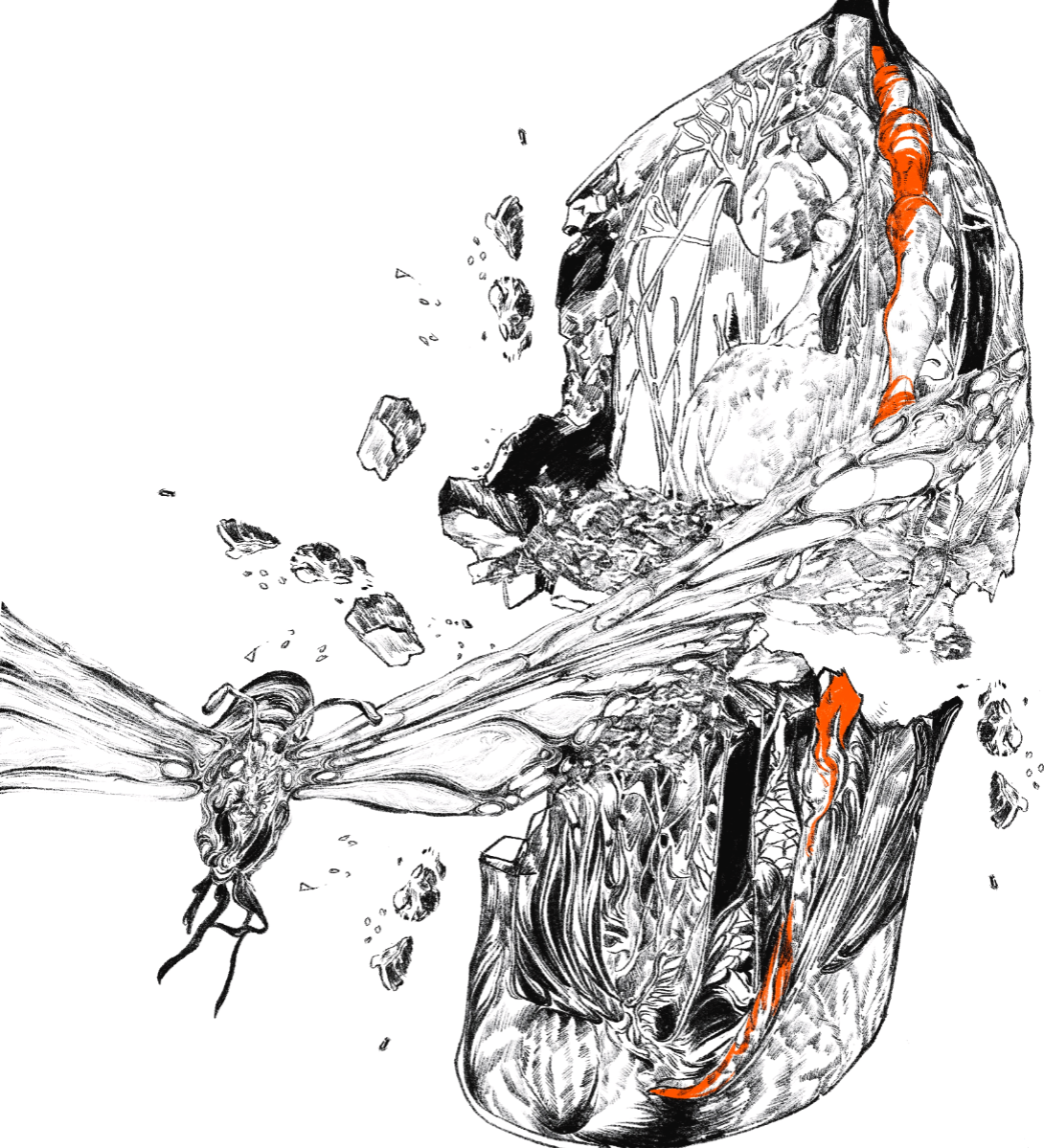 Written in their Wings, portfolio item 9
