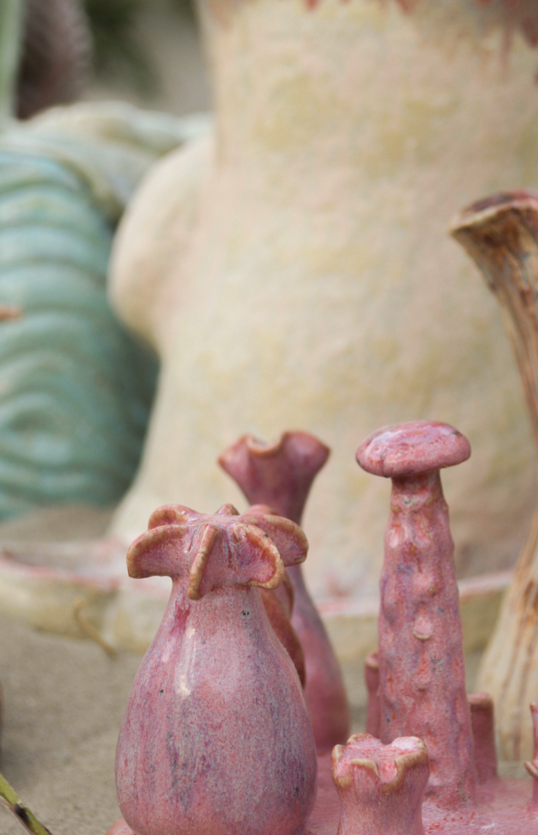 The elsewhere - a ceramic ecosystem, portfolio item 4
