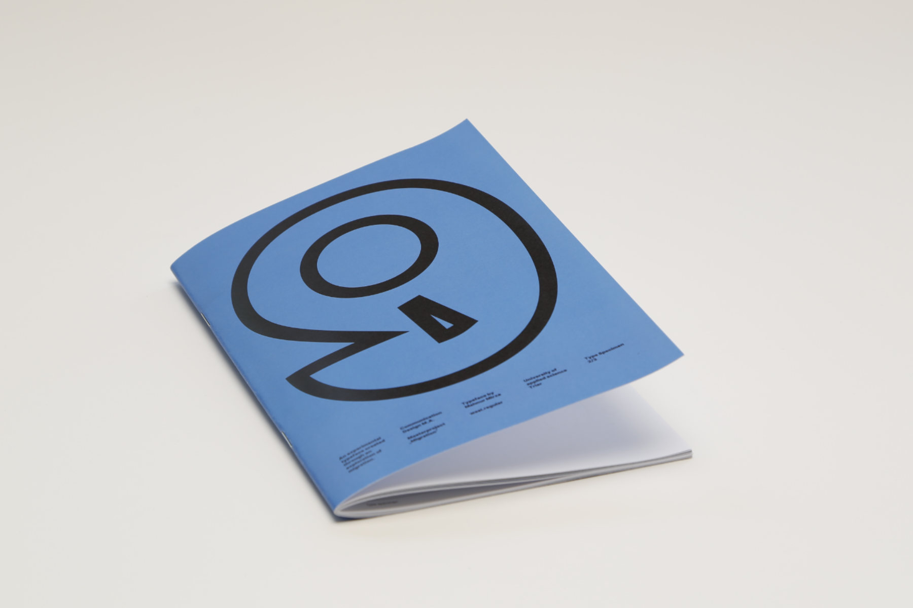 Experimental Type Design on Migration, portfolio item 2