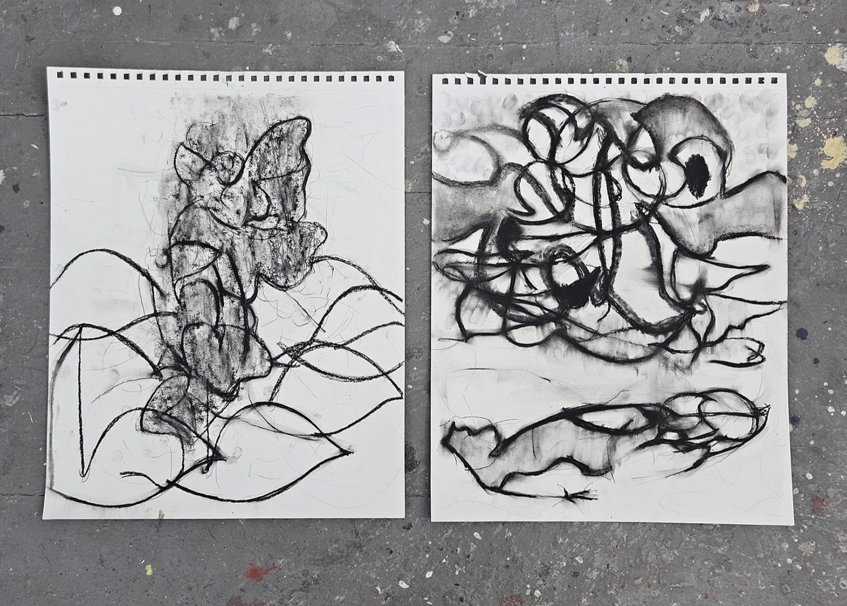 Where forms dream, portfolio item 13