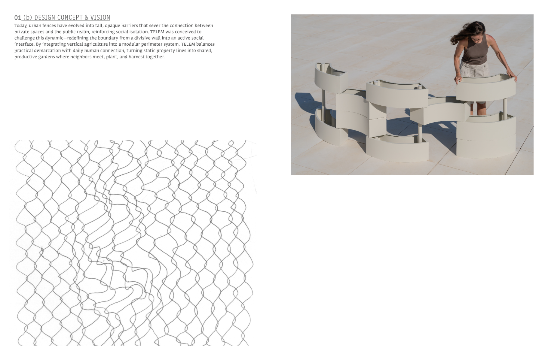 TELEM, portfolio item 2