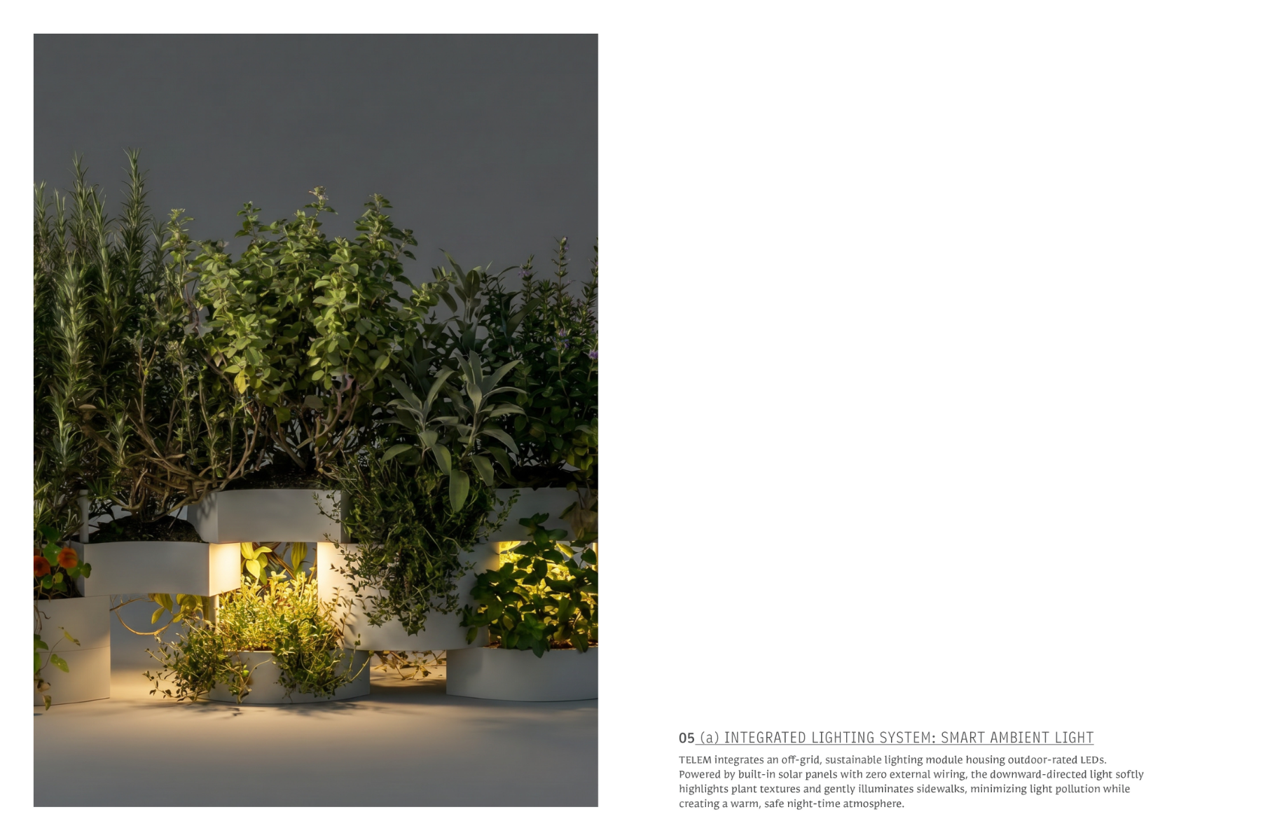TELEM, portfolio item 11