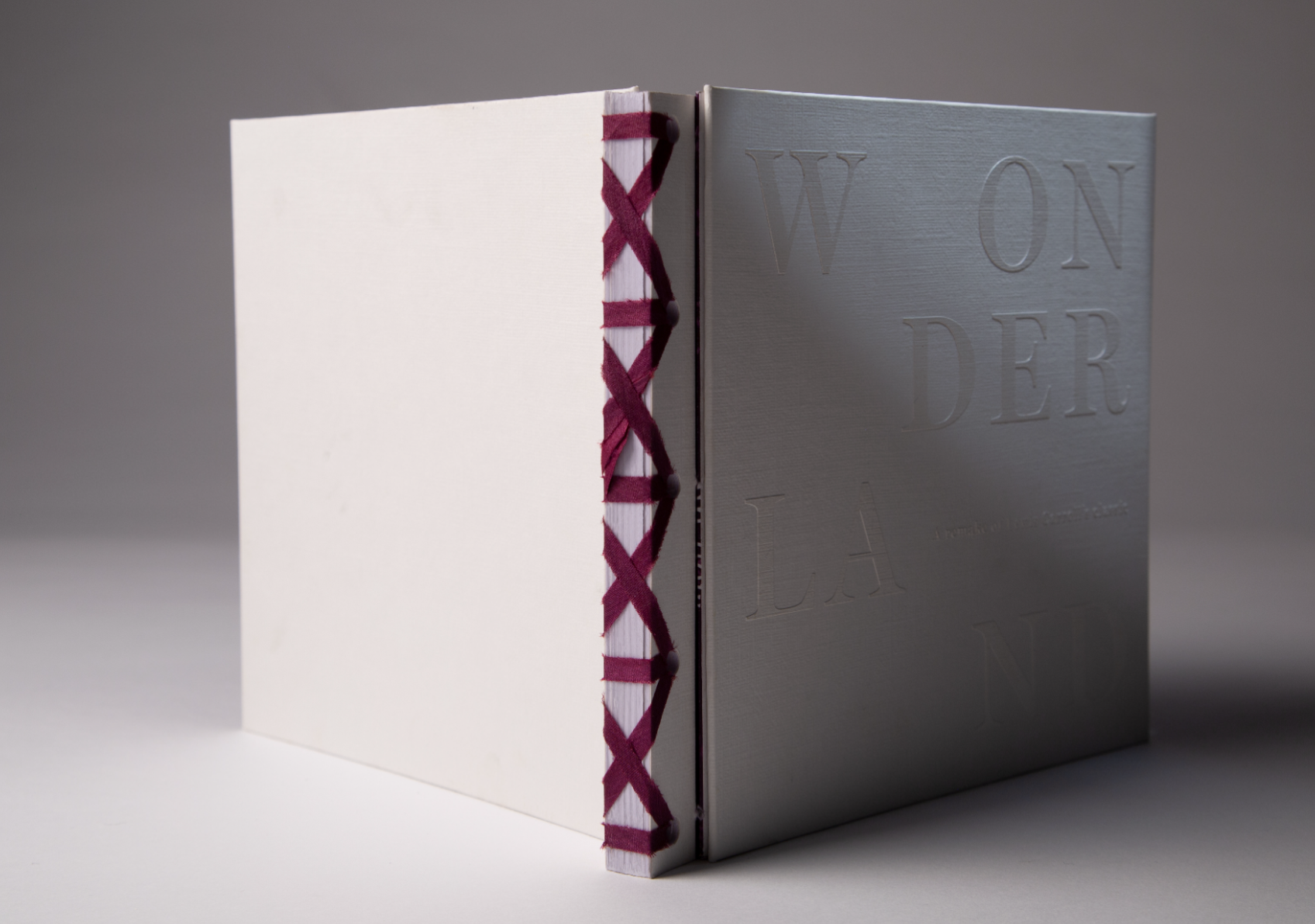 Alice’s Adventures in Wonderland: A Modern Reinterpretation, portfolio item 2