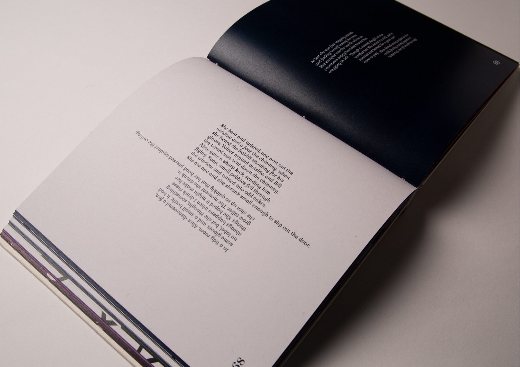 Alice’s Adventures in Wonderland: A Modern Reinterpretation, portfolio item 16