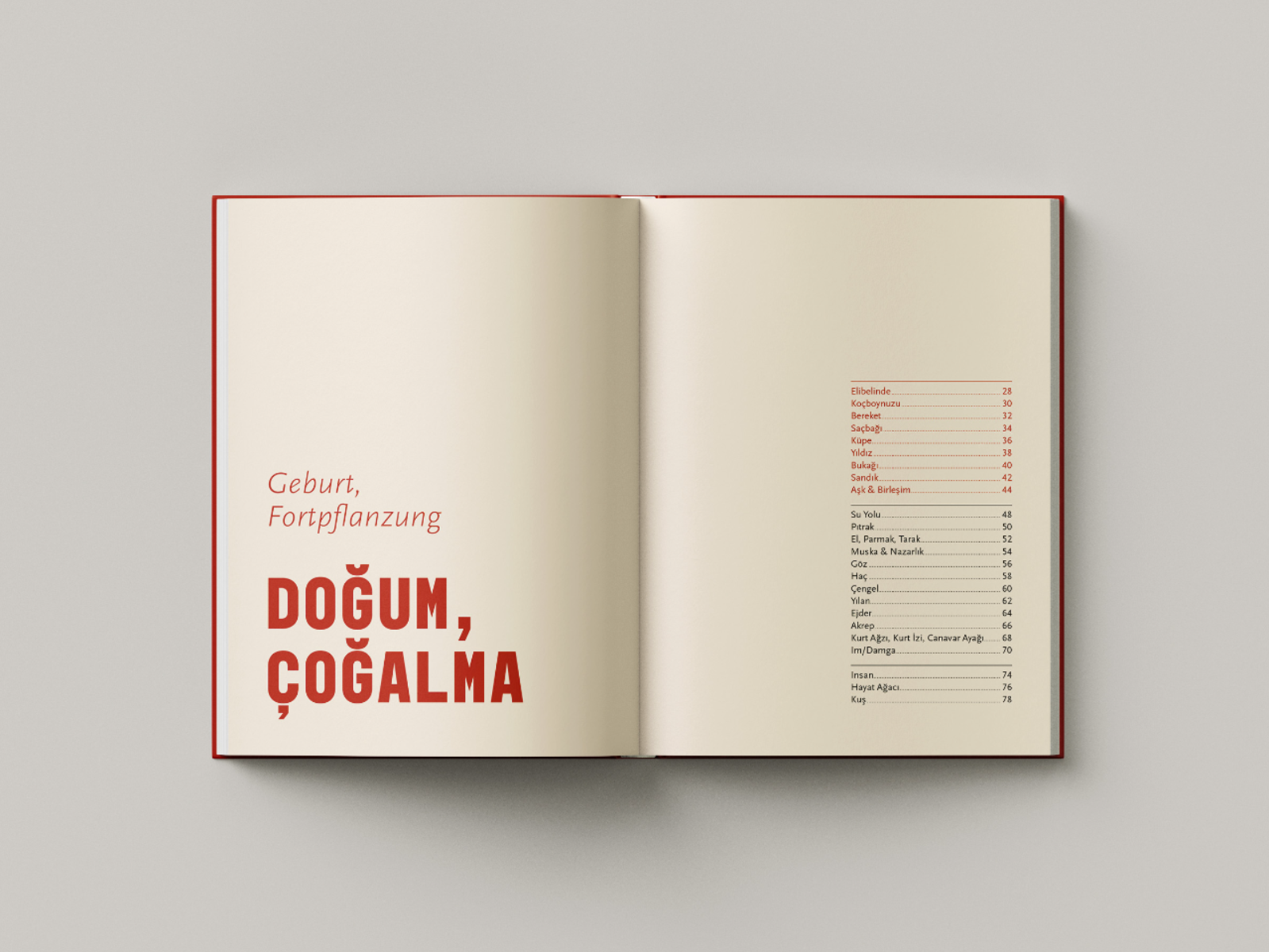 Çözgü & Atkı: Anatolian Symbolism & Turkish Mythology, portfolio item 5