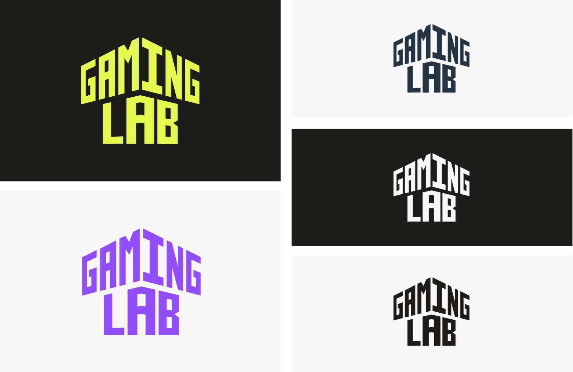 LCCA GAMING LAB SUb-brand, portfolio item 2
