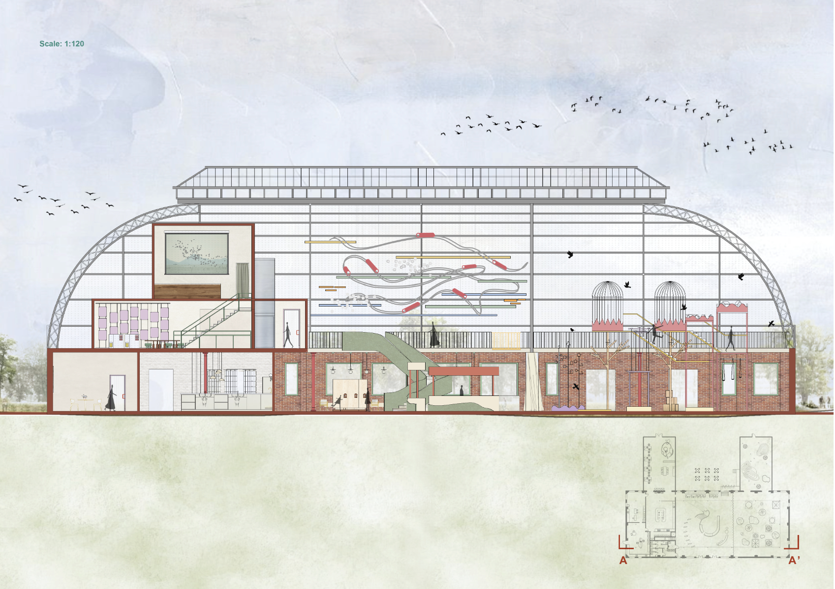 Springburn Bird Conservation Centre, portfolio item 4