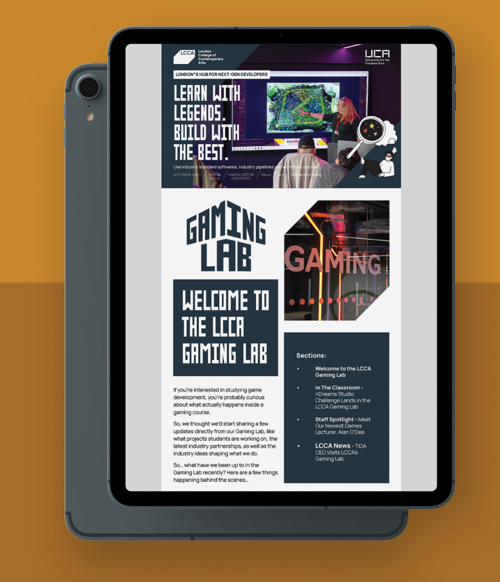 LCCA GAMING LAB SUb-brand, portfolio item 23