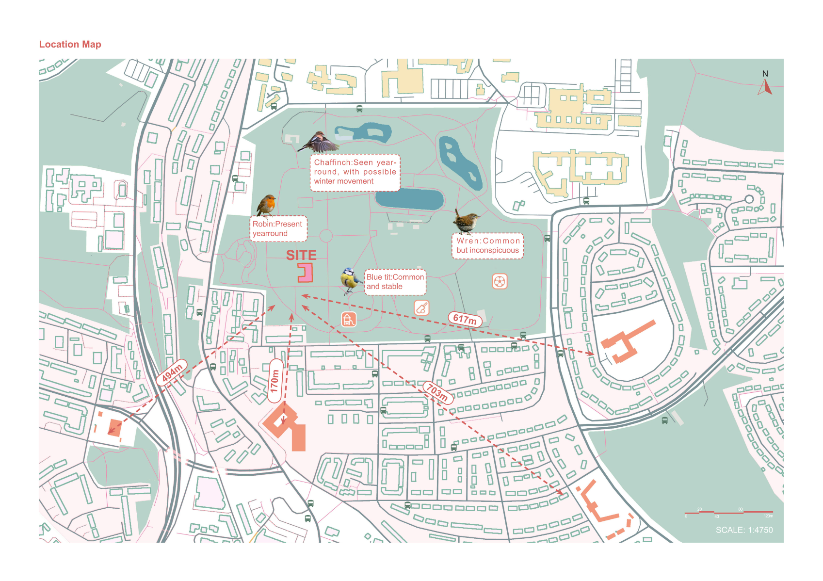Springburn Bird Conservation Centre, portfolio item 7