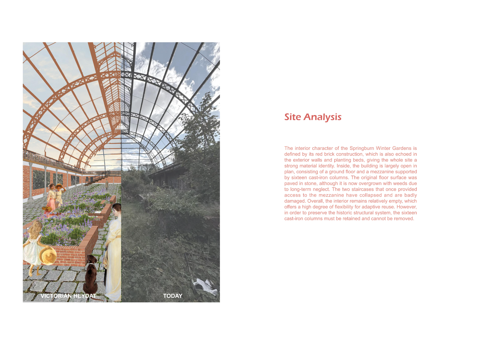 Springburn Bird Conservation Centre, portfolio item 9