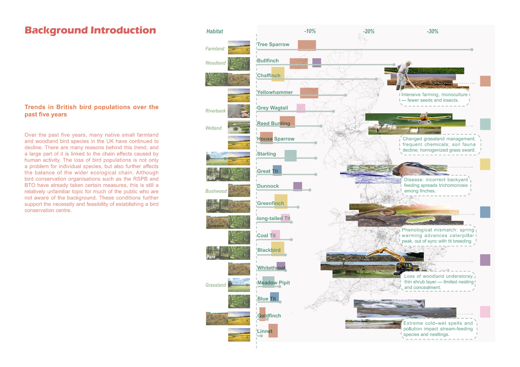 Springburn Bird Conservation Centre, portfolio item 12