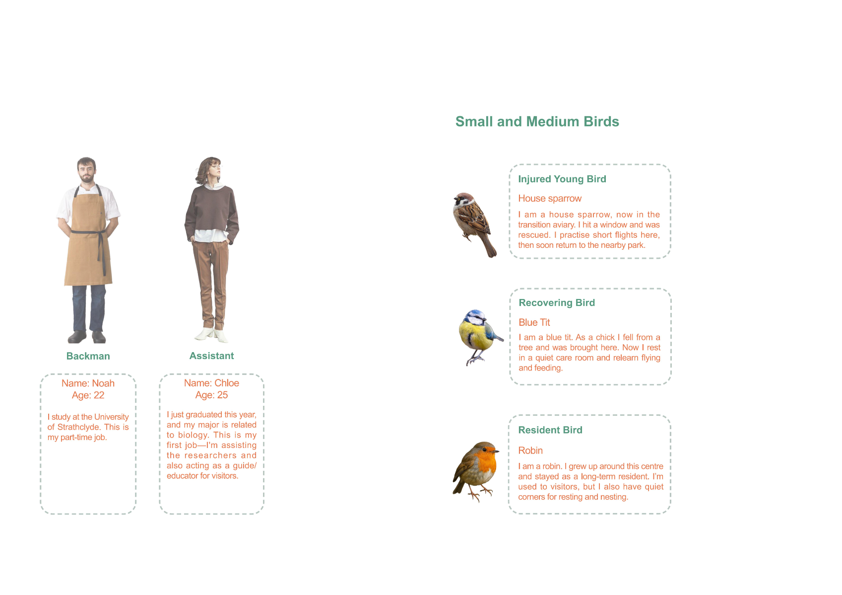 Springburn Bird Conservation Centre, portfolio item 15