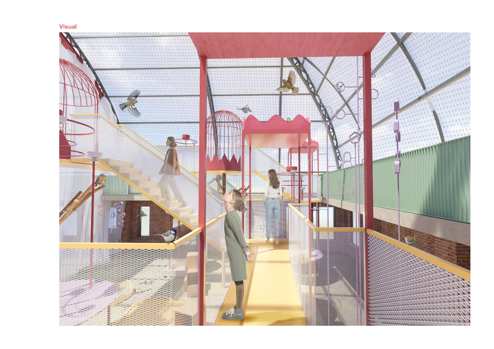 Springburn Bird Conservation Centre, portfolio item 42