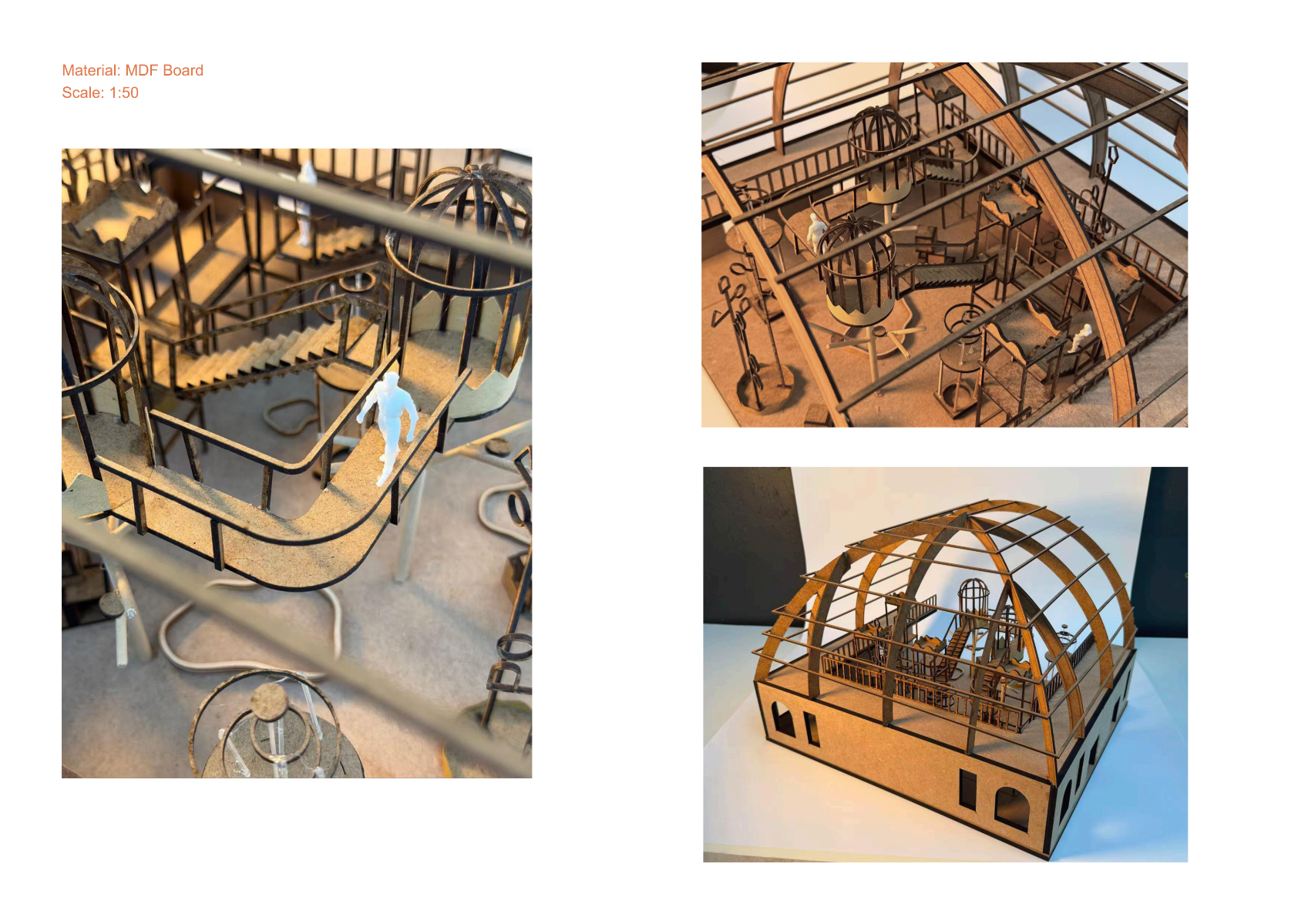 Springburn Bird Conservation Centre, portfolio item 52