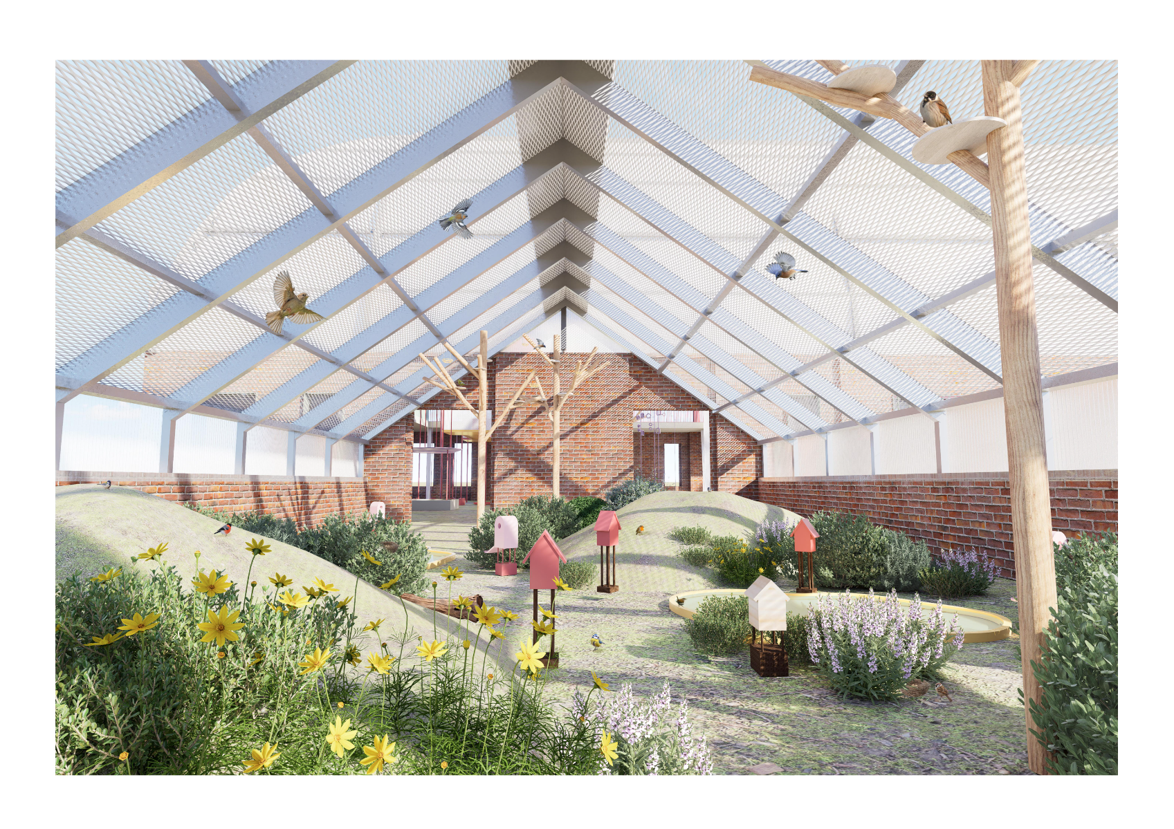 Springburn Bird Conservation Centre, portfolio item 45
