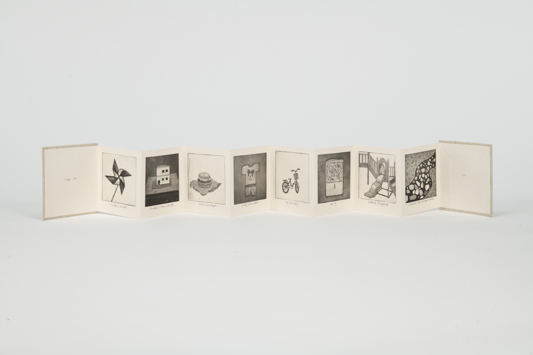 Migration, portfolio item 18