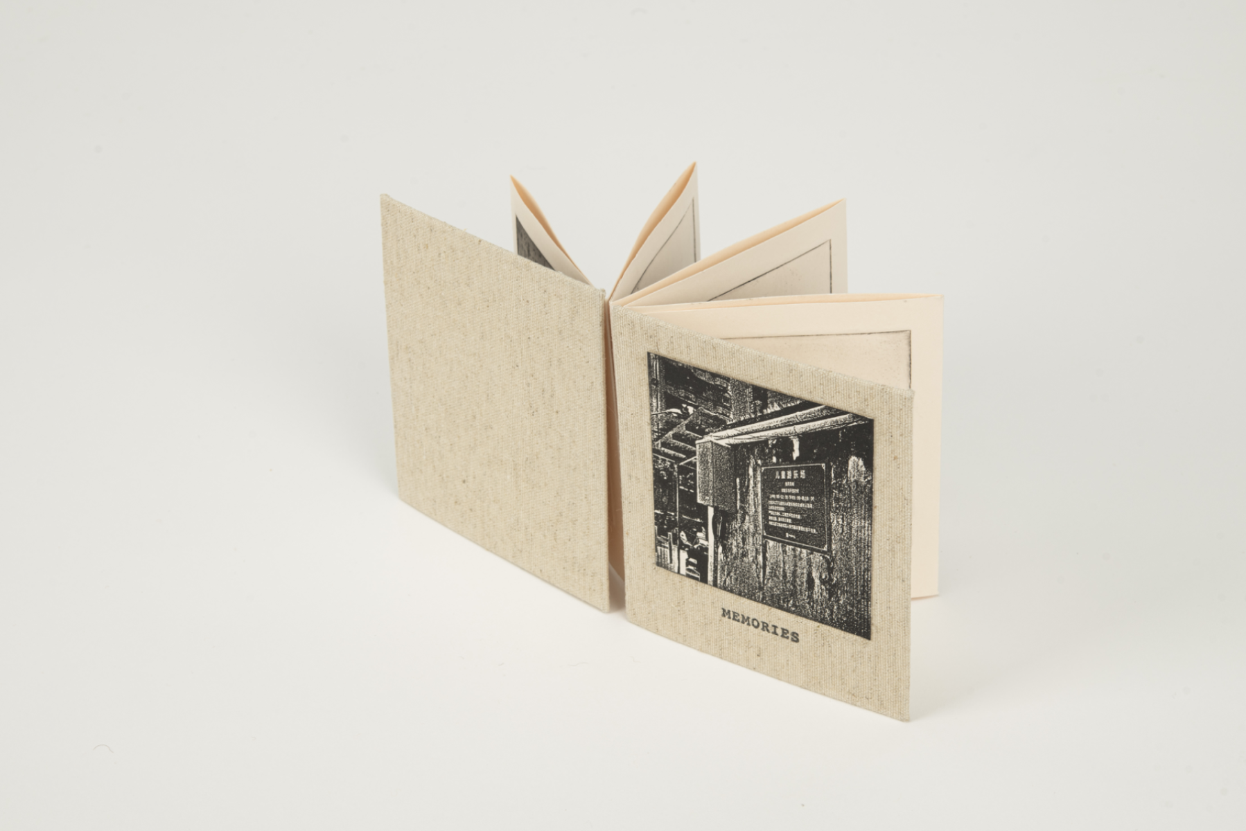 Migration, portfolio item 17