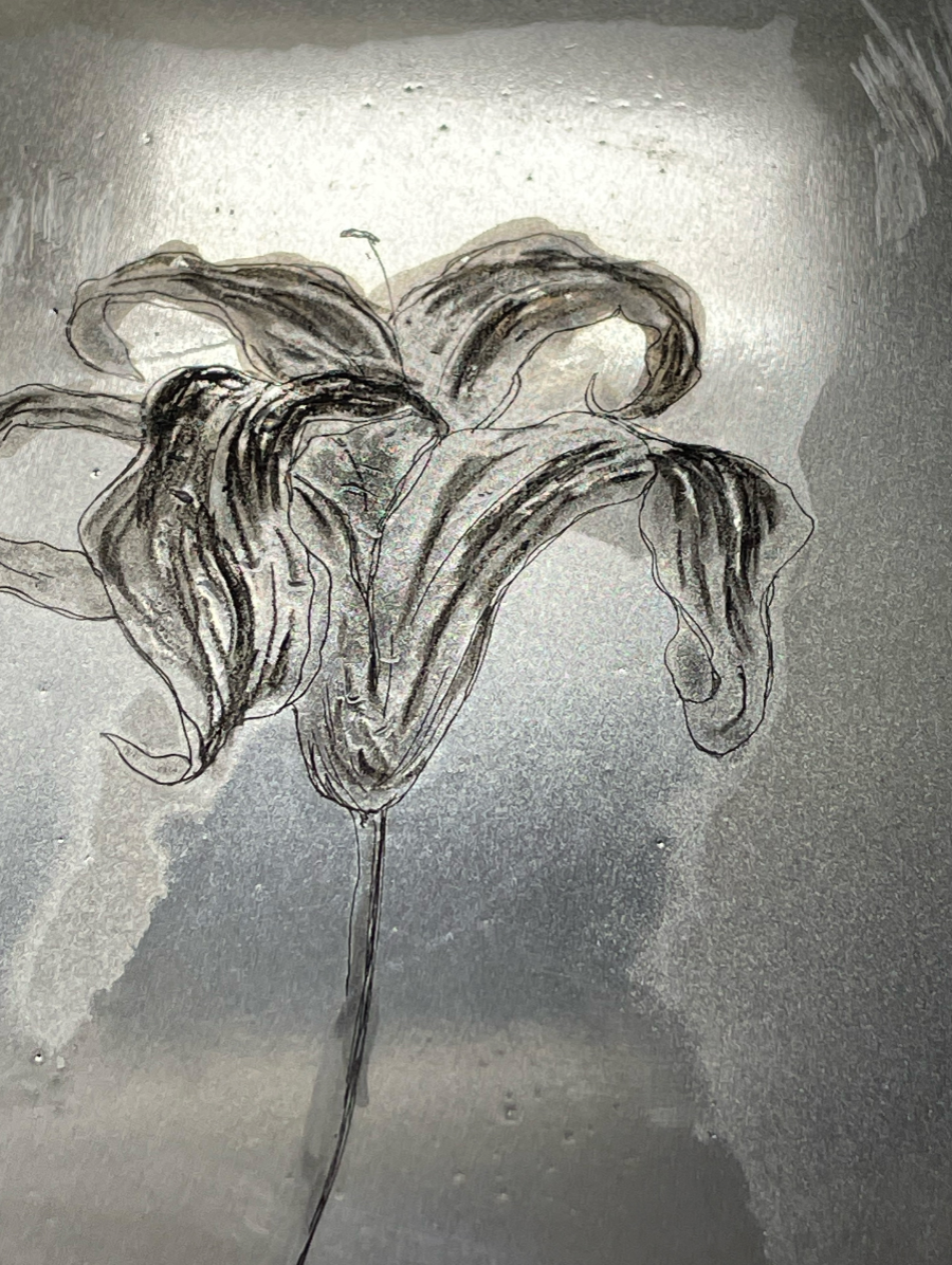 Migration, portfolio item 22