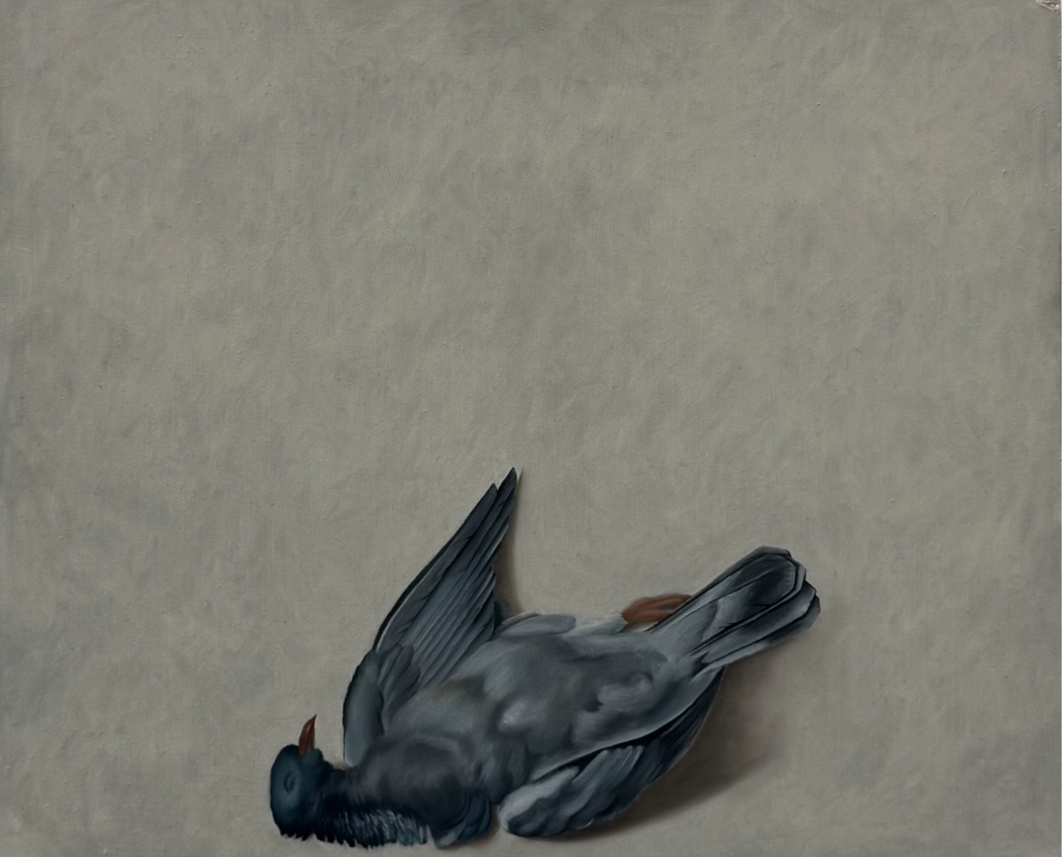 Exposure to death, portfolio item 5