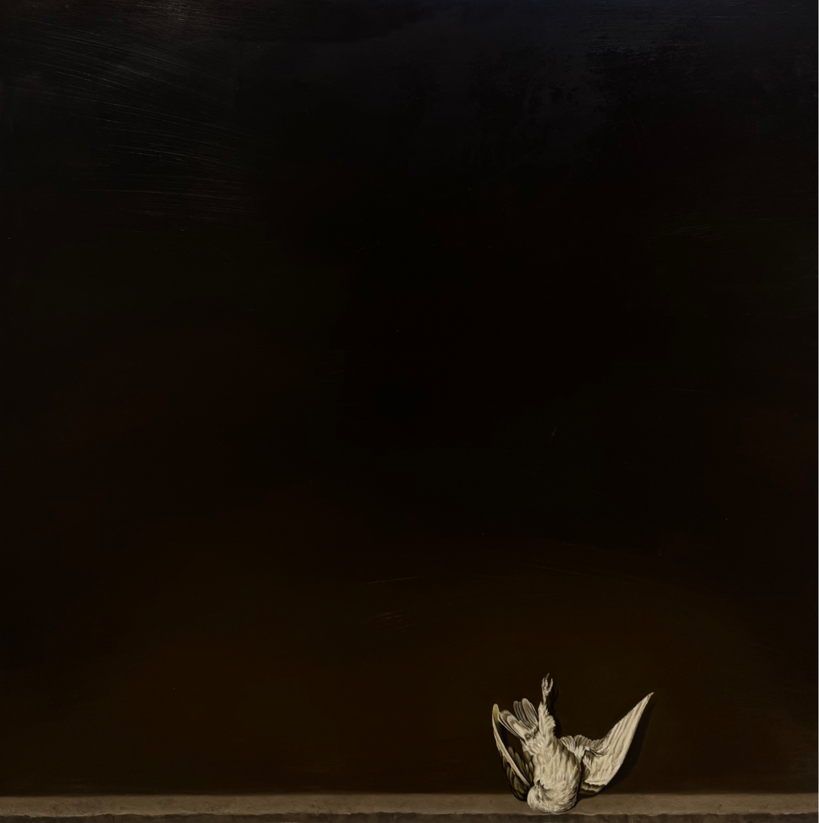 Exposure to death, portfolio item 6