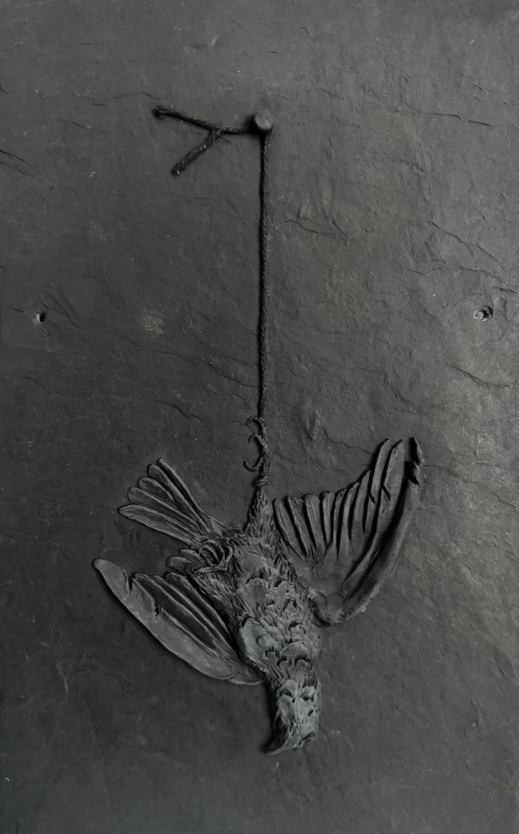 Exposure to death, portfolio item 17