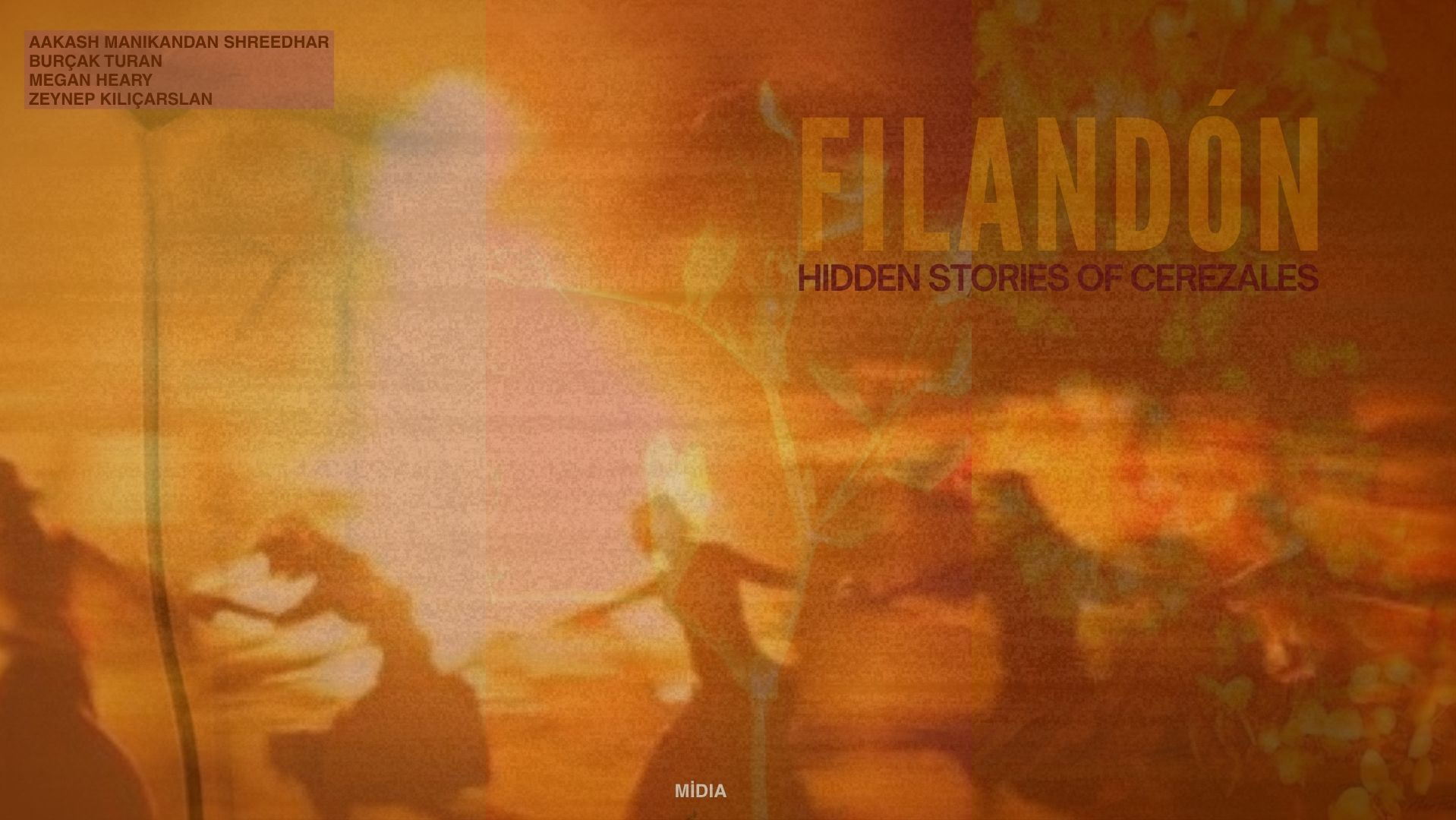 El Filandón, portfolio item 2