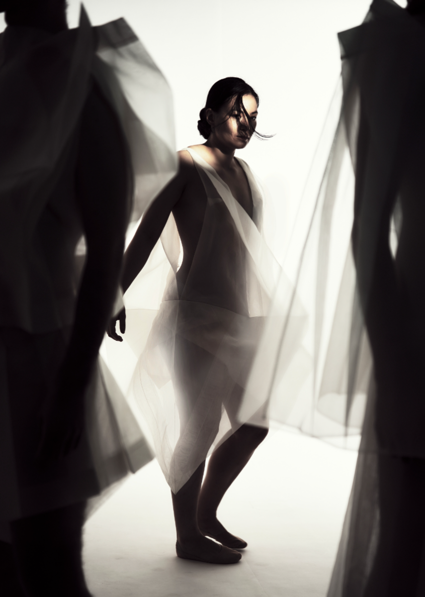 Restraint as authorship, portfolio item 12