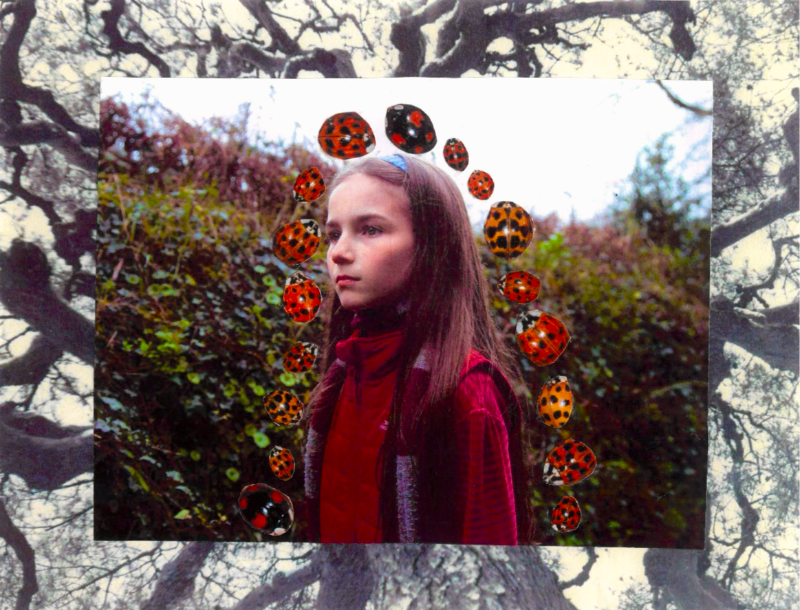 The Lacey Way, portfolio item 6