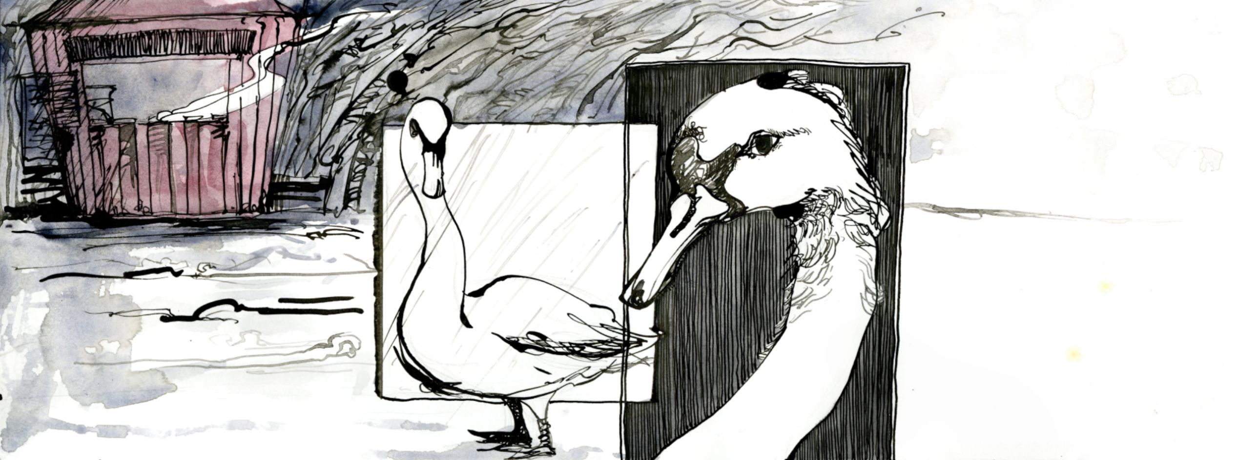 Swan Lake, portfolio item 2