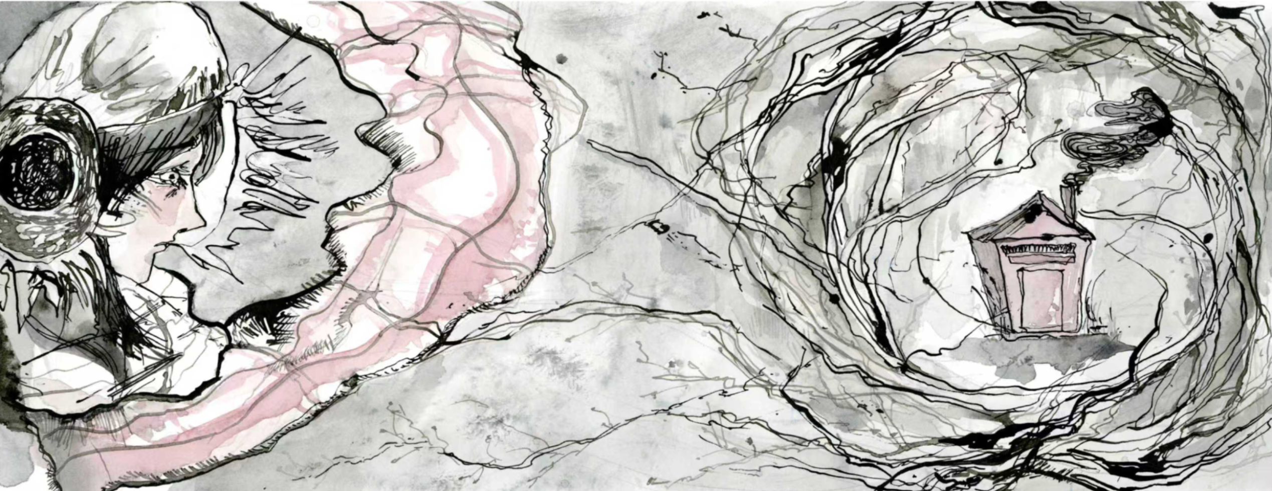 Swan Lake, portfolio item 3
