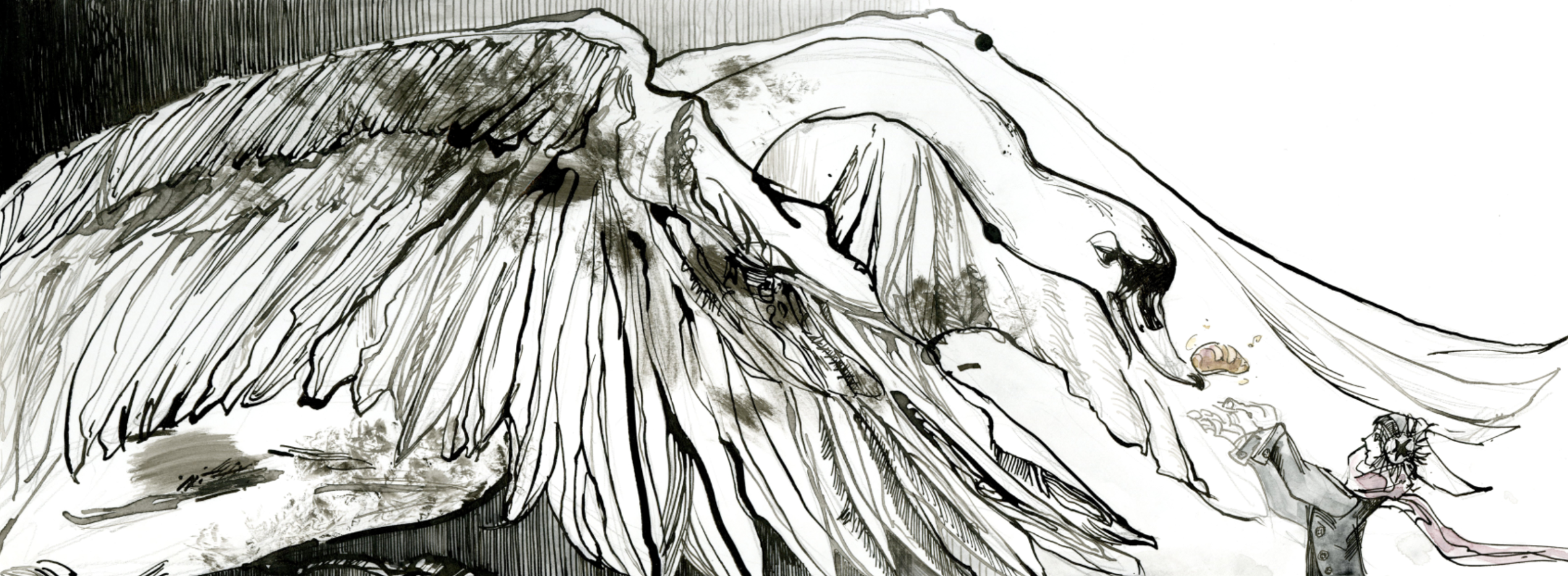 Swan Lake, portfolio item 4