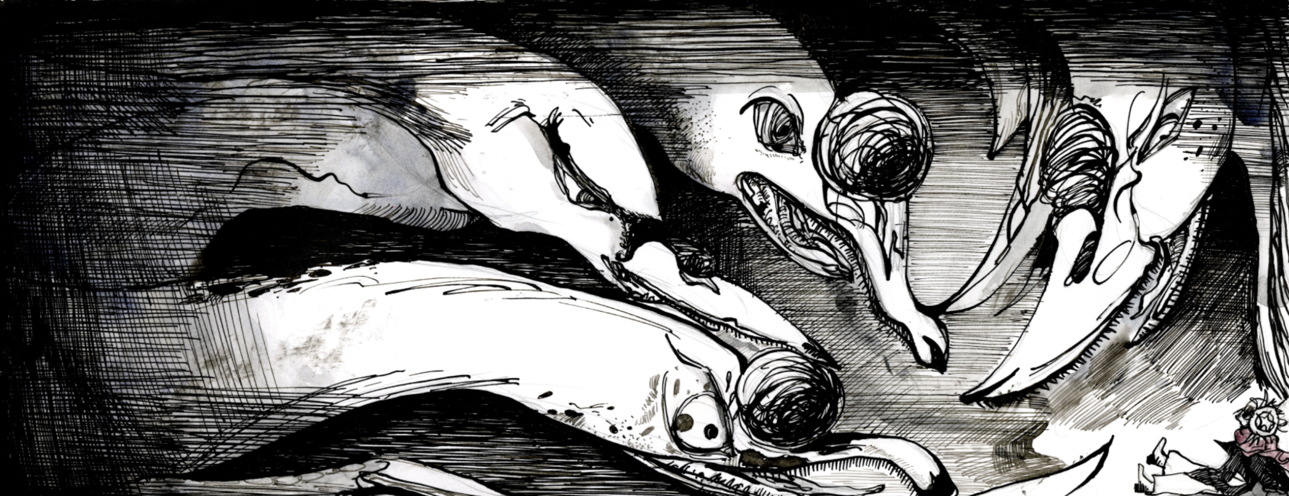 Swan Lake, portfolio item 5