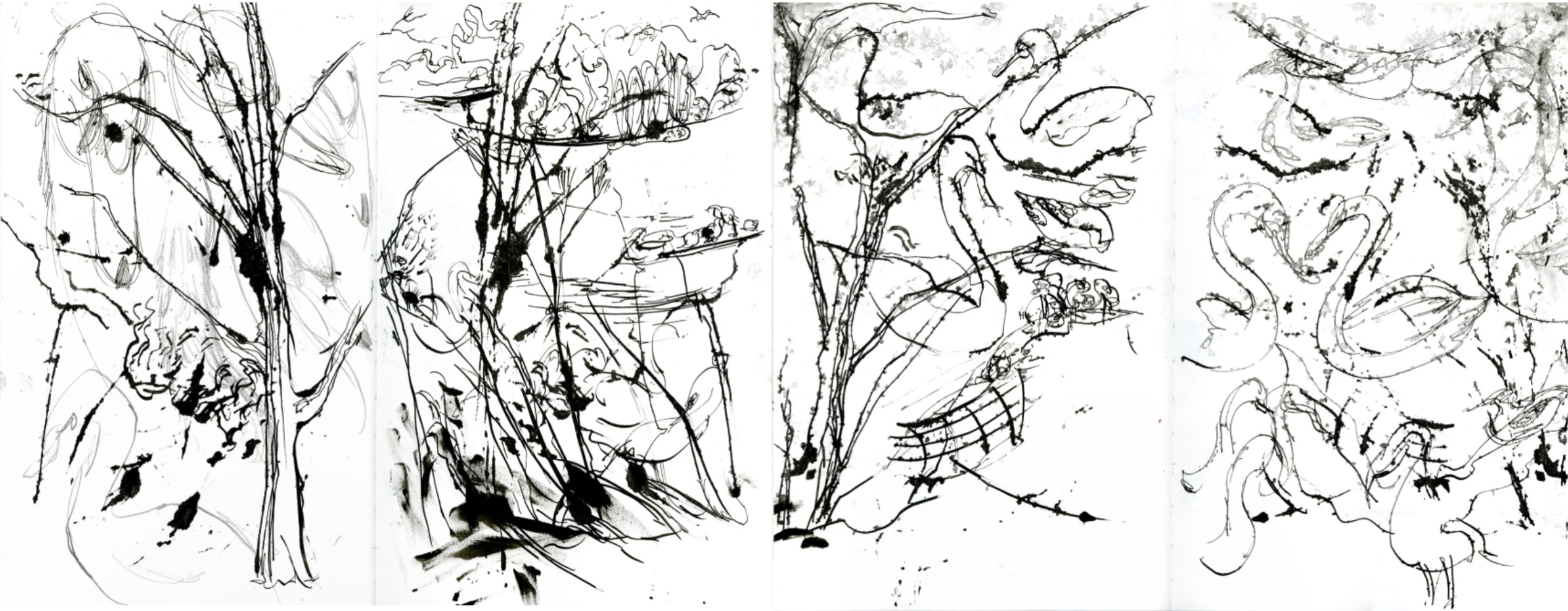 Swan Lake, portfolio item 9