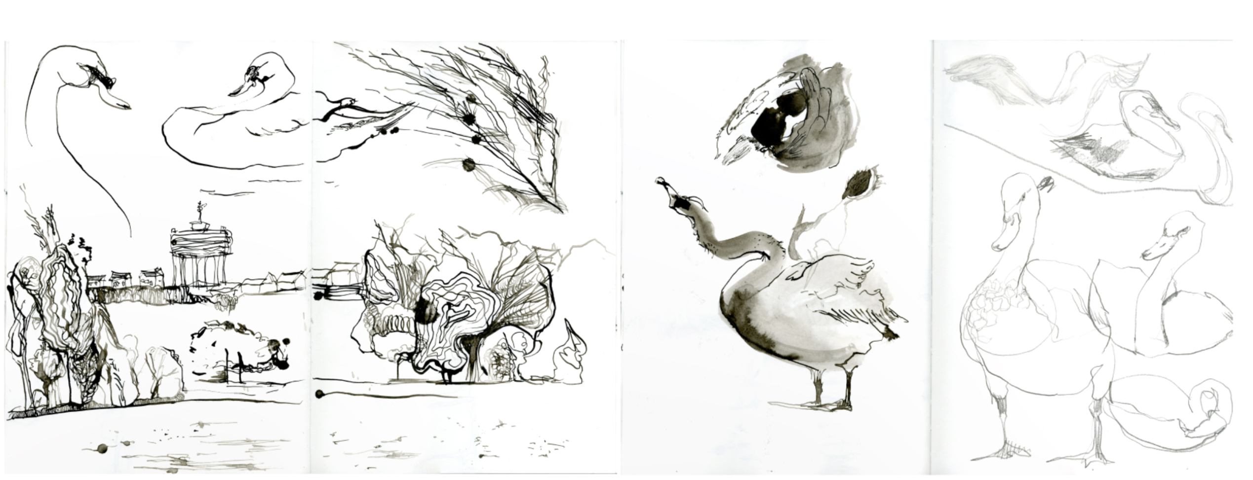 Swan Lake, portfolio item 10